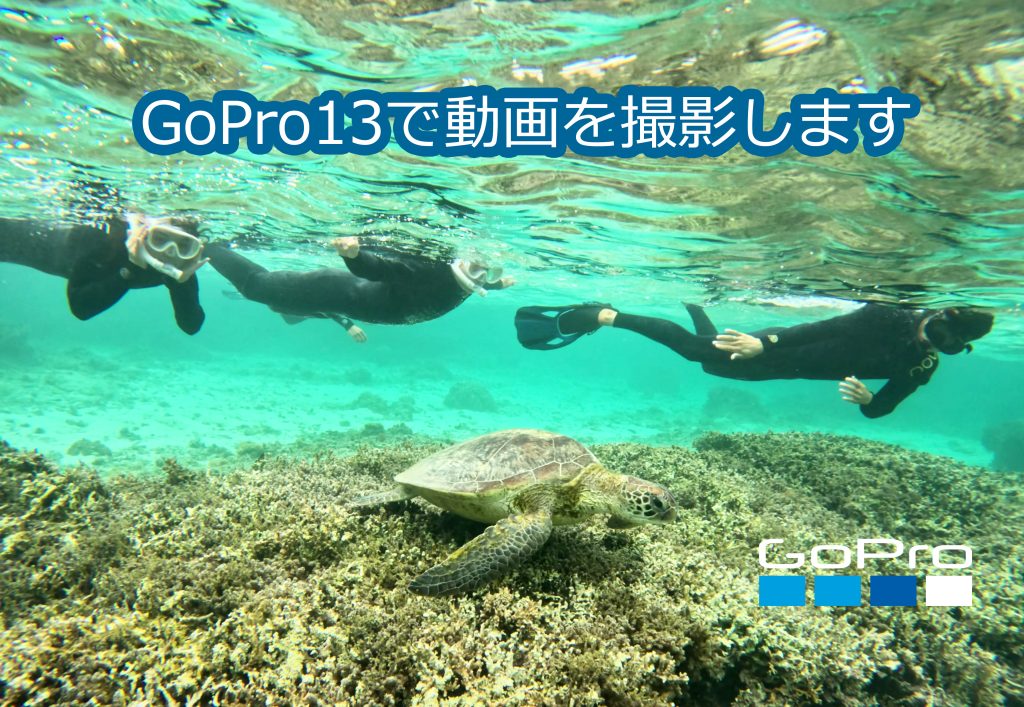 奄美大島ウミガメシュノーケル